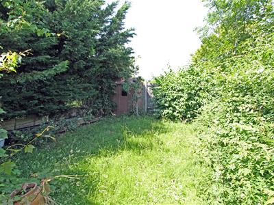 Picture 19